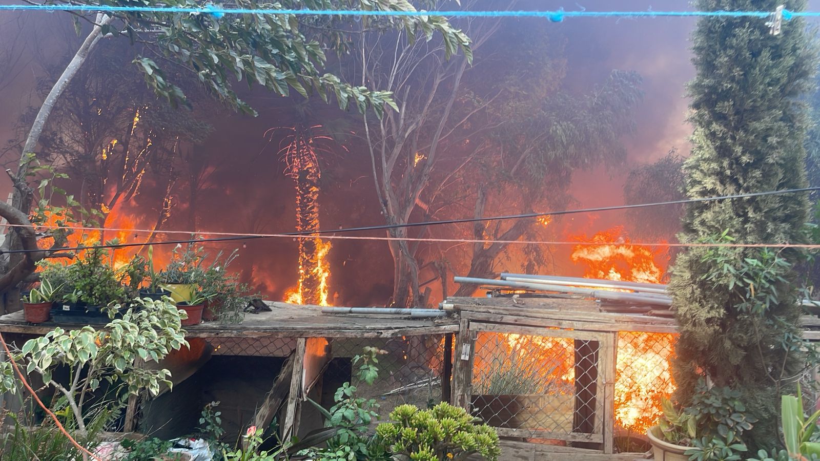 PRESIDENTA ROCIO ADAME ACTIVA SALÓN EJIDAL PRIMO TAPIA, COMO REFUGIO TEMPORAL PARA AFECTADOS POR INCENDIO